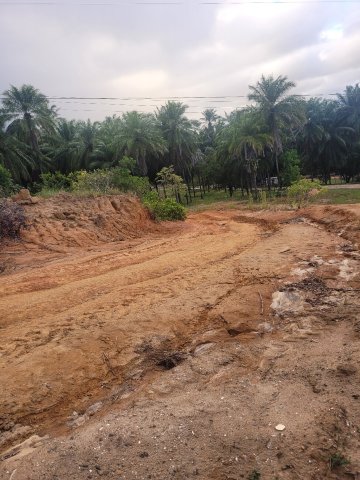 奥库伯佩巴旅馆-官方