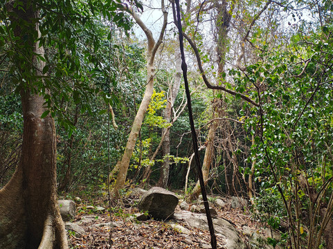 Con Dao National Park-昆山岛必去景点
