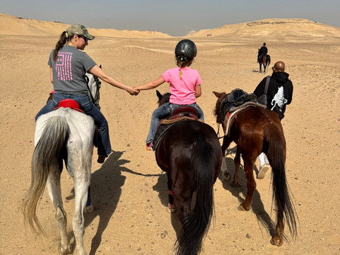 Cairo Horse Riding School-吉萨必去景点