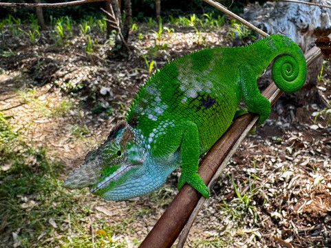 Usambara Eco Tours-卢绍托必去景点