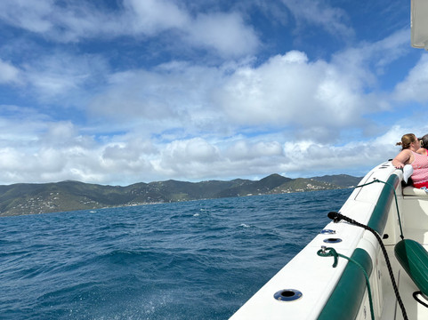 Celtic Powerboats-托土拉必去景点