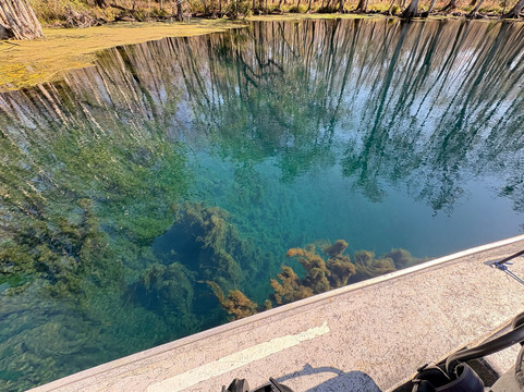 5 Rivers Adventures-Wacissa必去景点