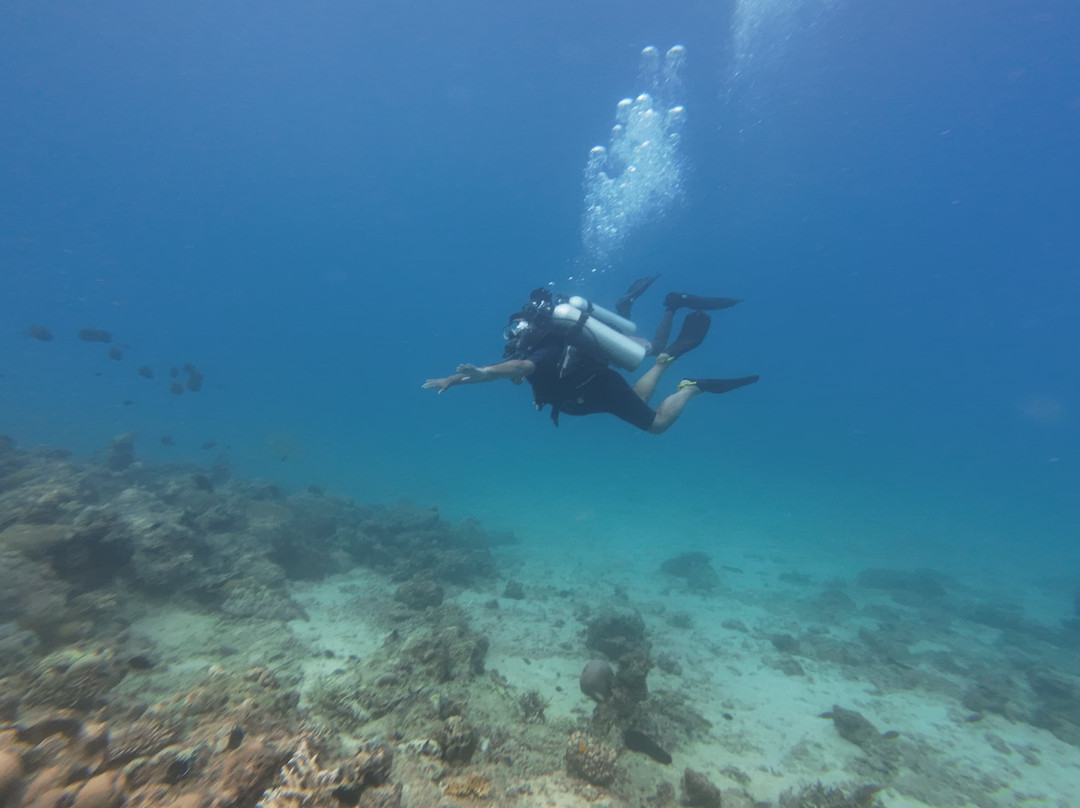 Turquoise Dream-Neil Island必去景点