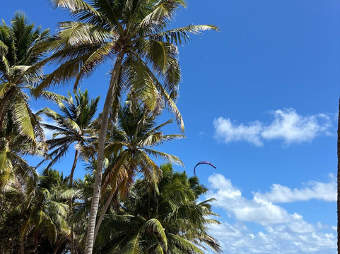 Anse Michel-Sainte-Anne必去景点