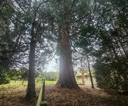 Thorp Perrow-Bedale必去景点