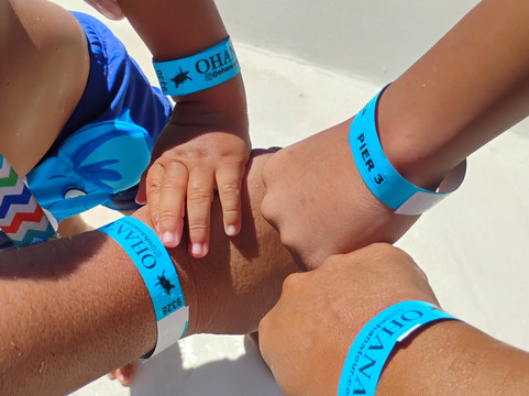 Ohana Tour-阿拉伊阿尔港必去景点