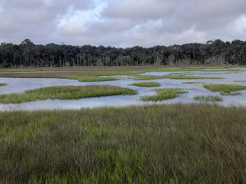 Fort Caroline National Memorial-杰克逊维尔必去景点