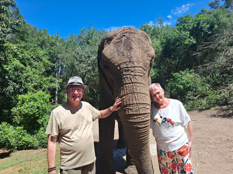 Elephant Sanctuary The Crags-The Crags必去景点
