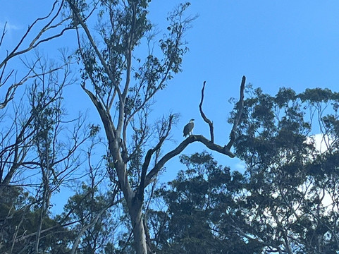 Navigate Expeditions-塔斯拉必去景点