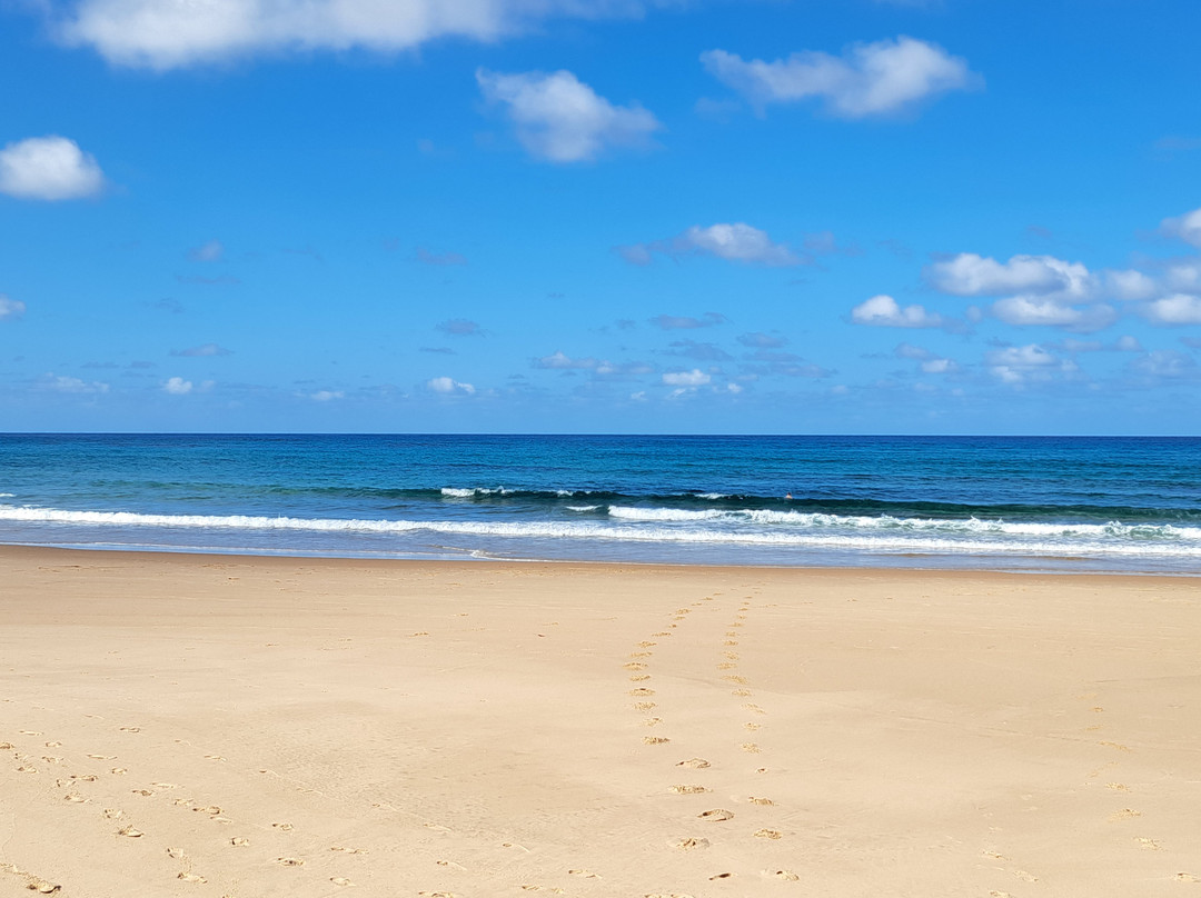 Liquid Dive Adventures-托佛必去景点