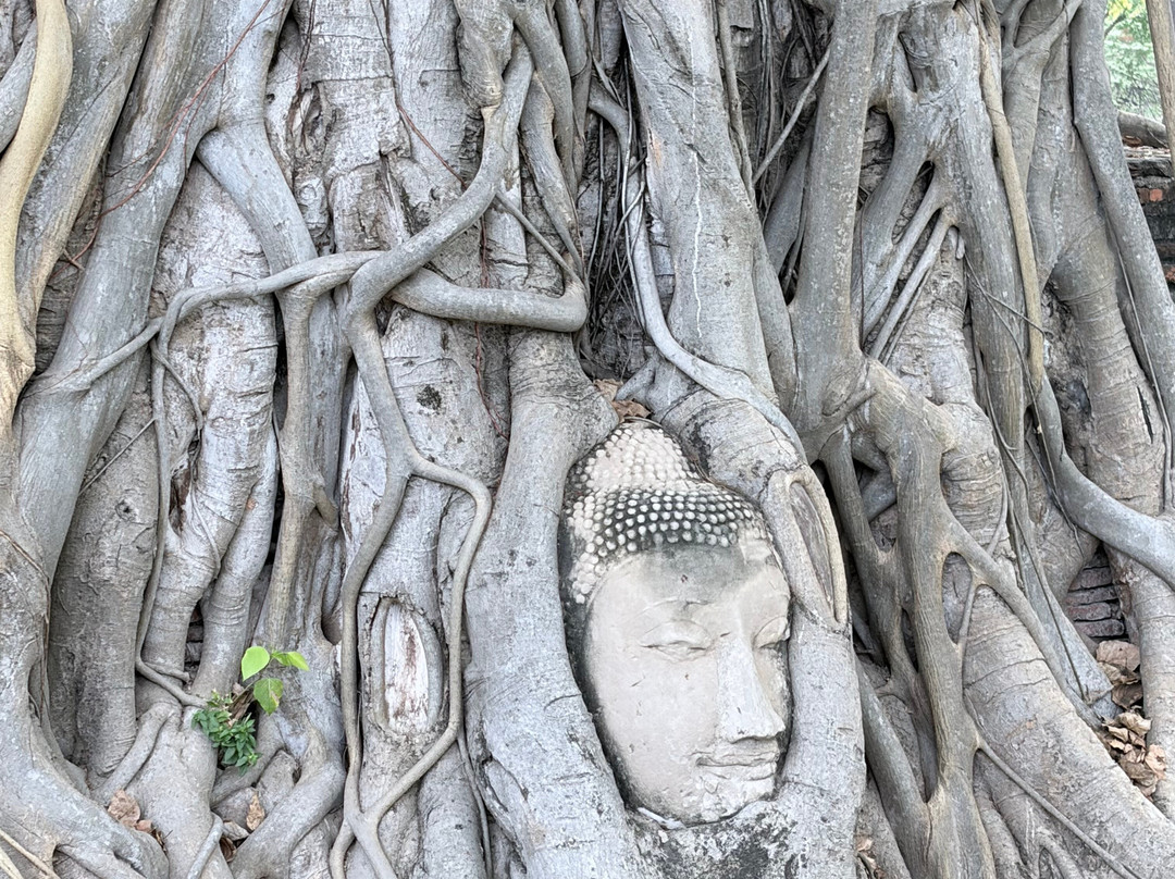 Tuk Tuk Joy Ayutthaya Thailand-大城必去景点