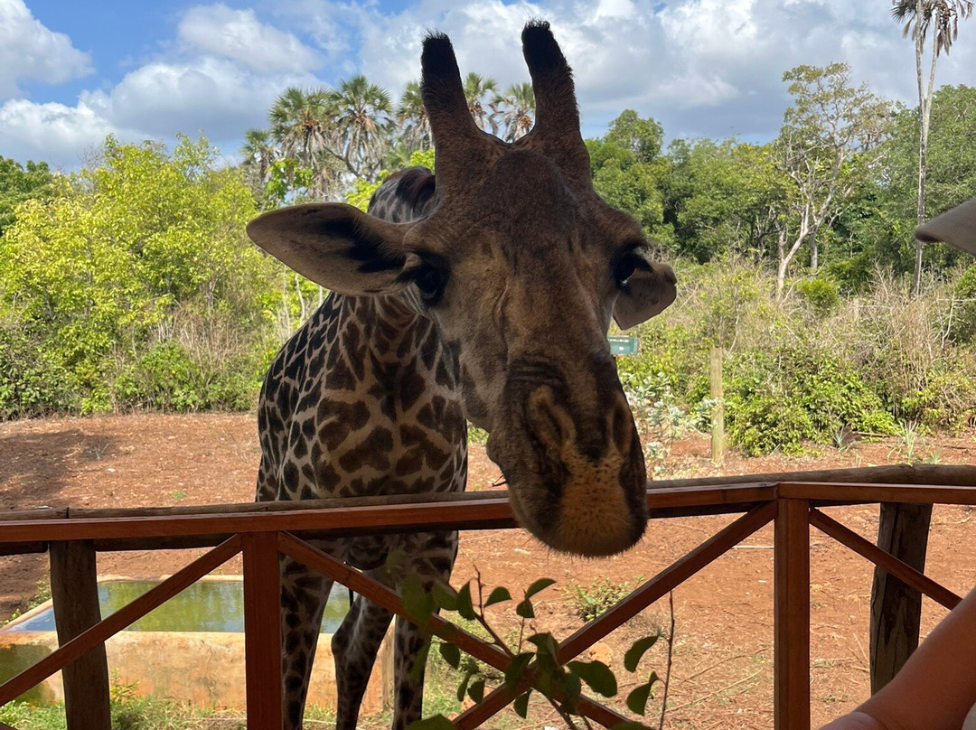 Bora Bora Wildlife Park-迪亚尼必去景点