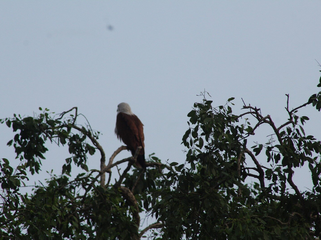 Bundala Wings And Wild Guilde Tours-Hambantota必去景点