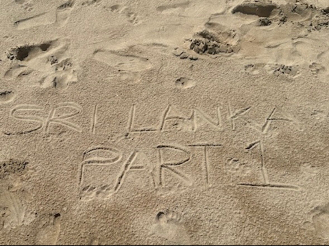 Shenandoah Travels Sri Lanka-佩拉德尼亚必去景点