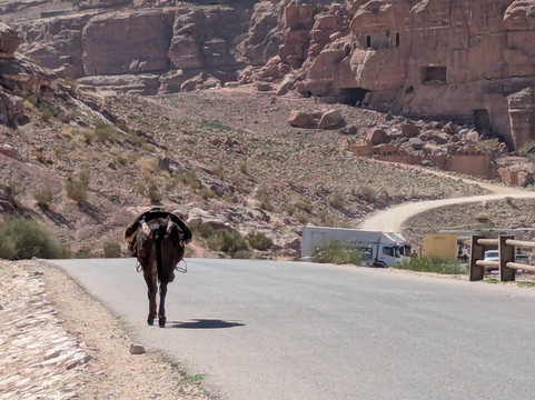 Jordan Inspiration Tours-佩特拉必去景点