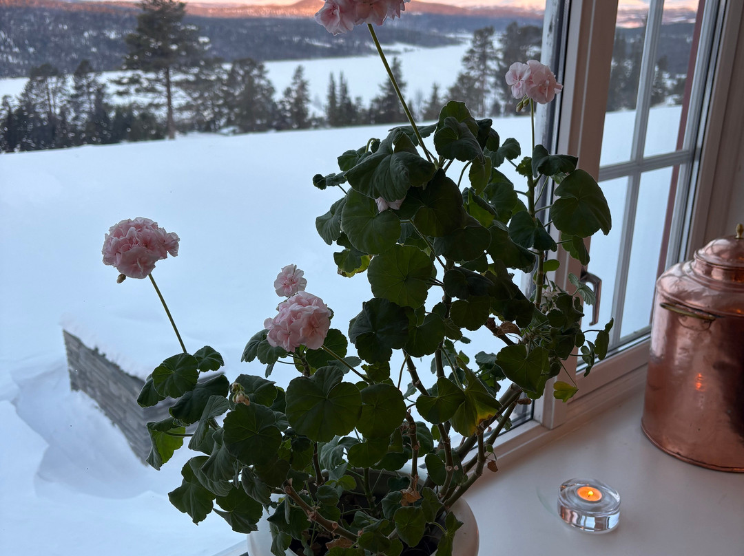 Gala Hogfjellshotel主图
