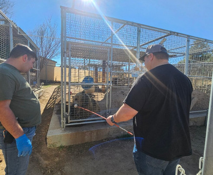 Forever Wild Exotic Animal Sanctuary-Phelan必去景点