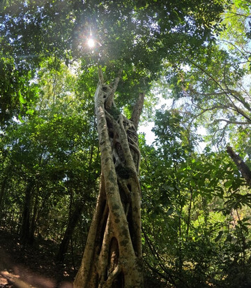 Serra da Bodoquena Waterfalls-Bodoquena必去景点