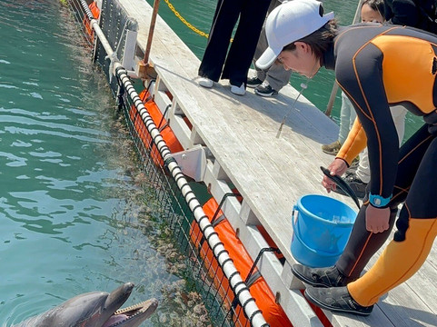 Shimoda Aquarium-下田市必去景点