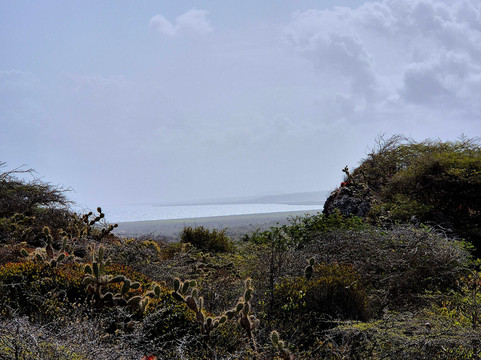 丹尼尔庄园酒店主图