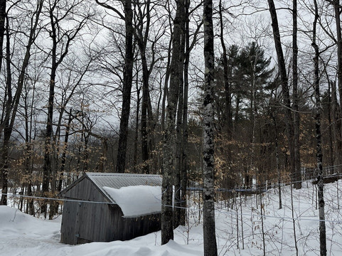 Baird Farm Vermont Maple Syrup-奇滕登必去景点