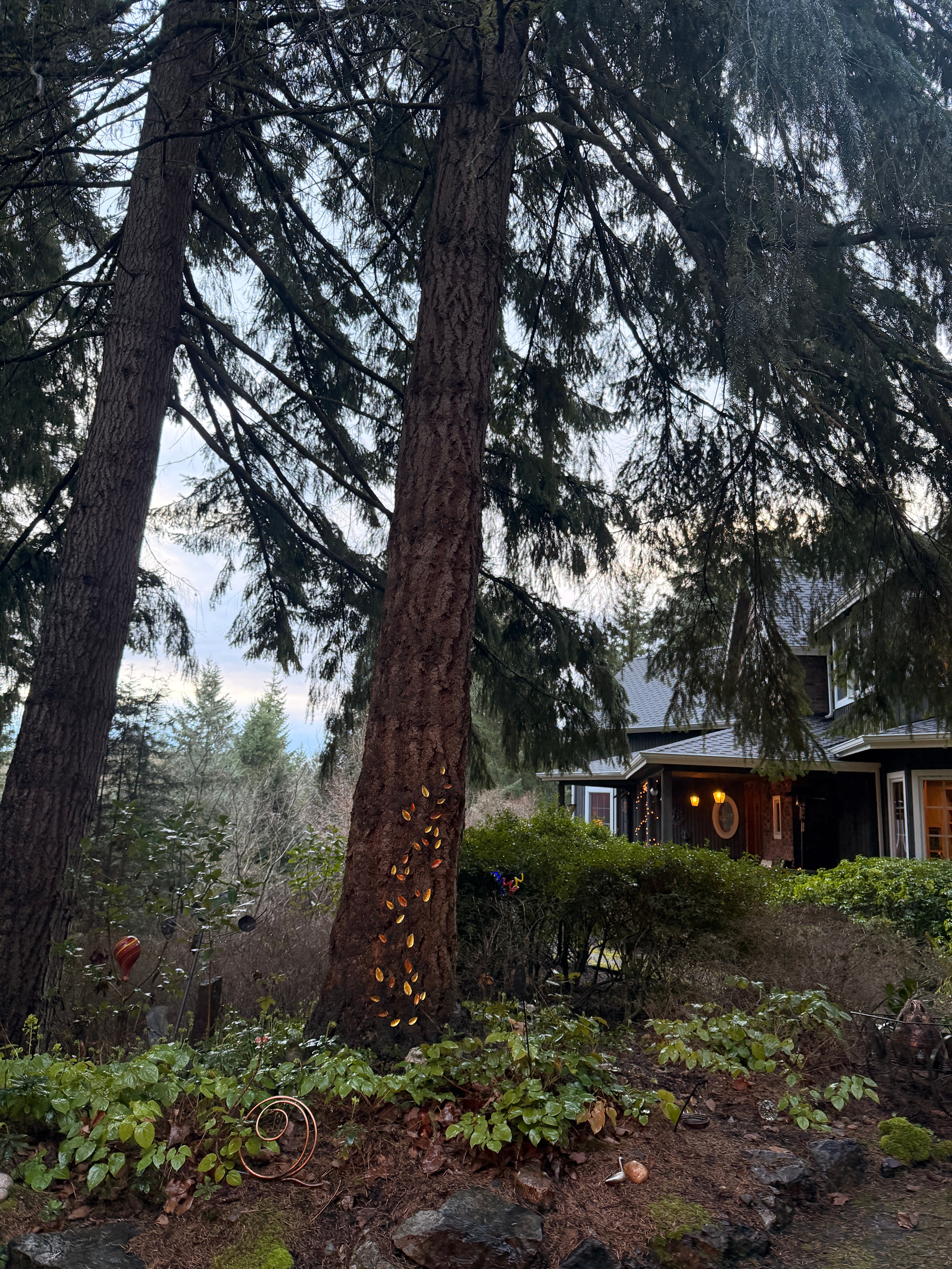 Hideaway Lodge Bed and Breakfast-官方