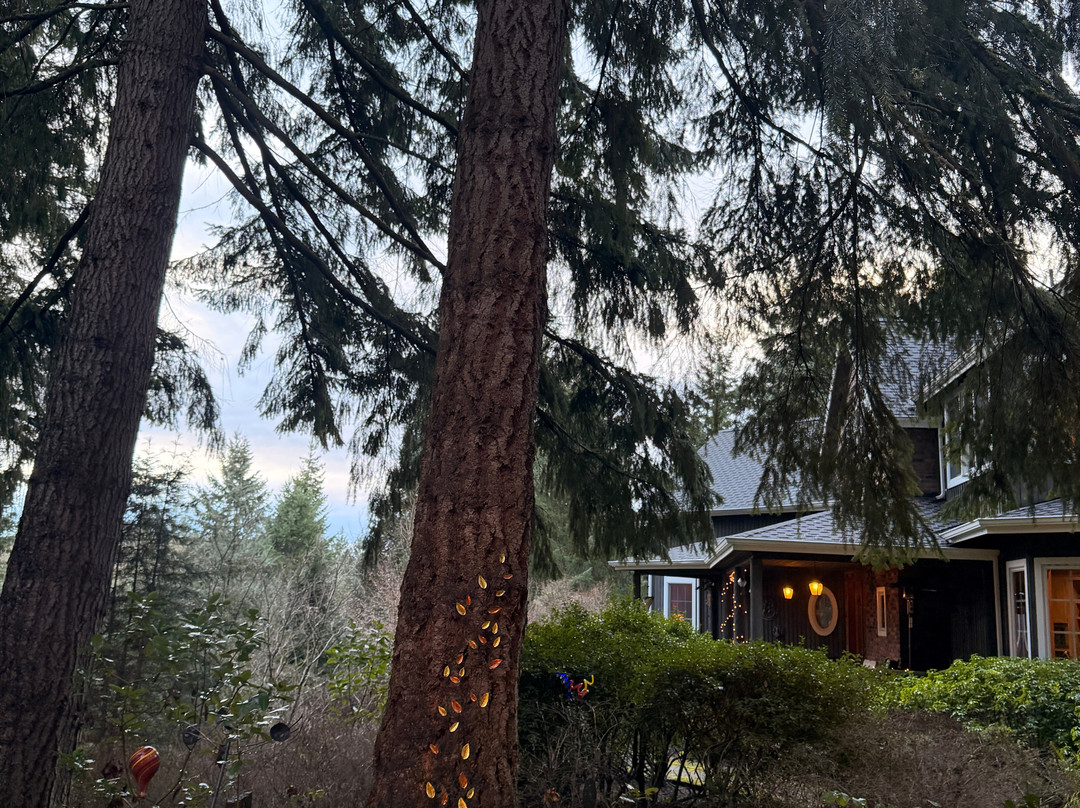 Hideaway Lodge Bed and Breakfast主图