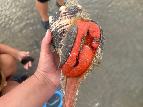 Sea N Things, LLC-Indian Shores必去景点