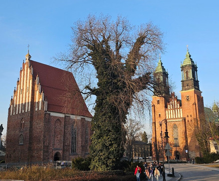 Ostrow Tumski-波兹南必去景点