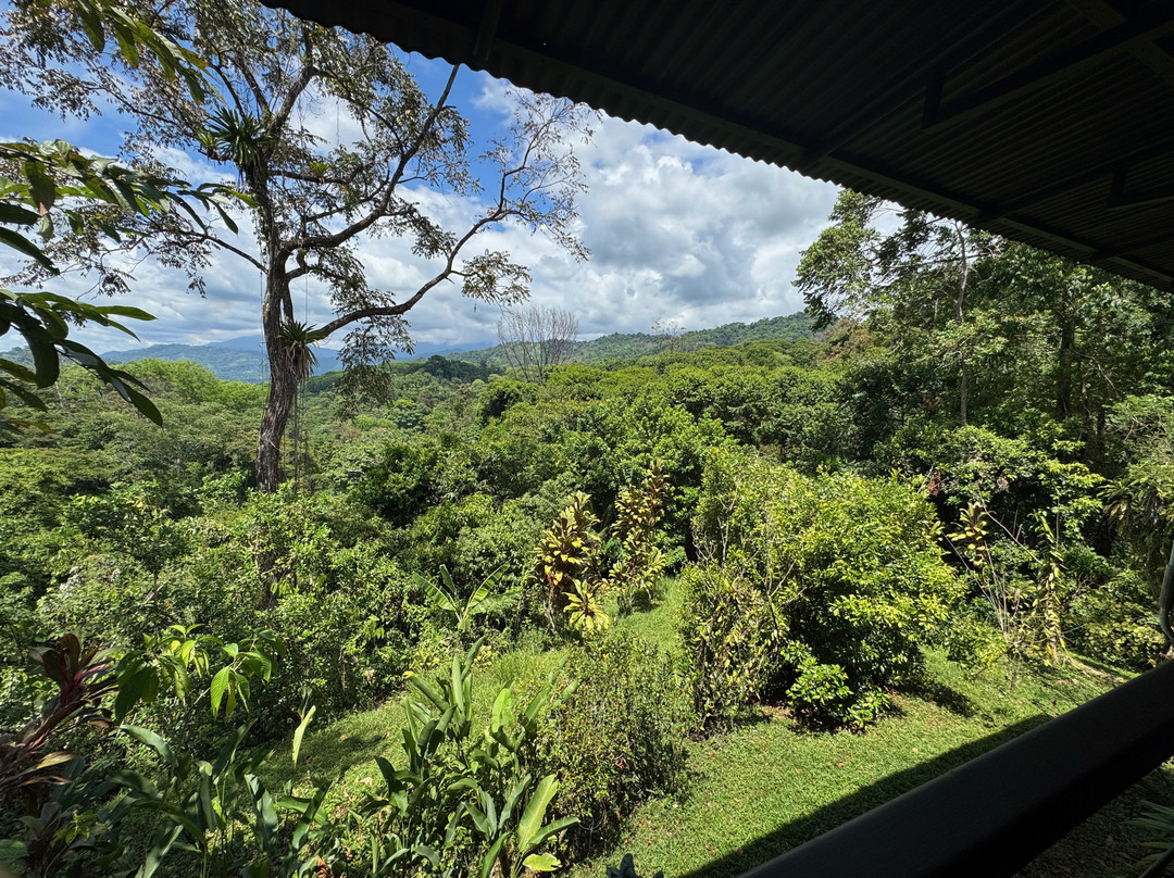 Villa Vanilla Spice Tour & Shop-哥斯达黎加安东尼奥国家公园必去景点