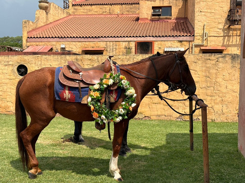 Diamond X Cowboy Ranch-Rayton必去景点