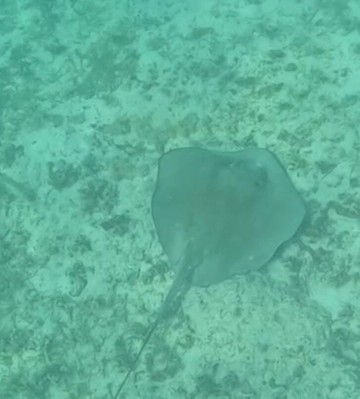 Virgin Islands Ecotours-圣 托马斯必去景点