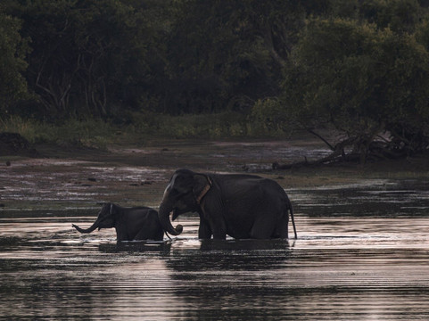 Ruwan Yala Jeep Safari-Debarawewa必去景点
