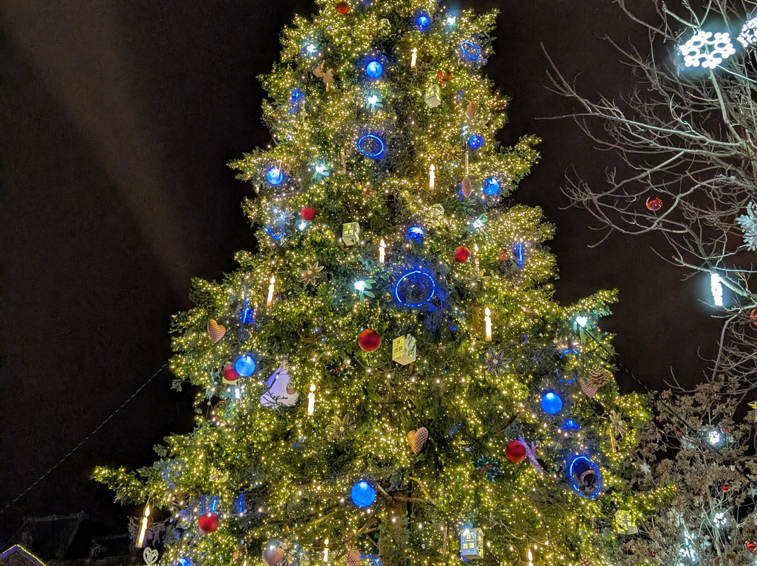 Place Kleber-斯特拉斯堡必去景点