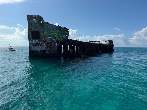 Neal Watson's Bimini Scuba Center-Alice Town必去景点