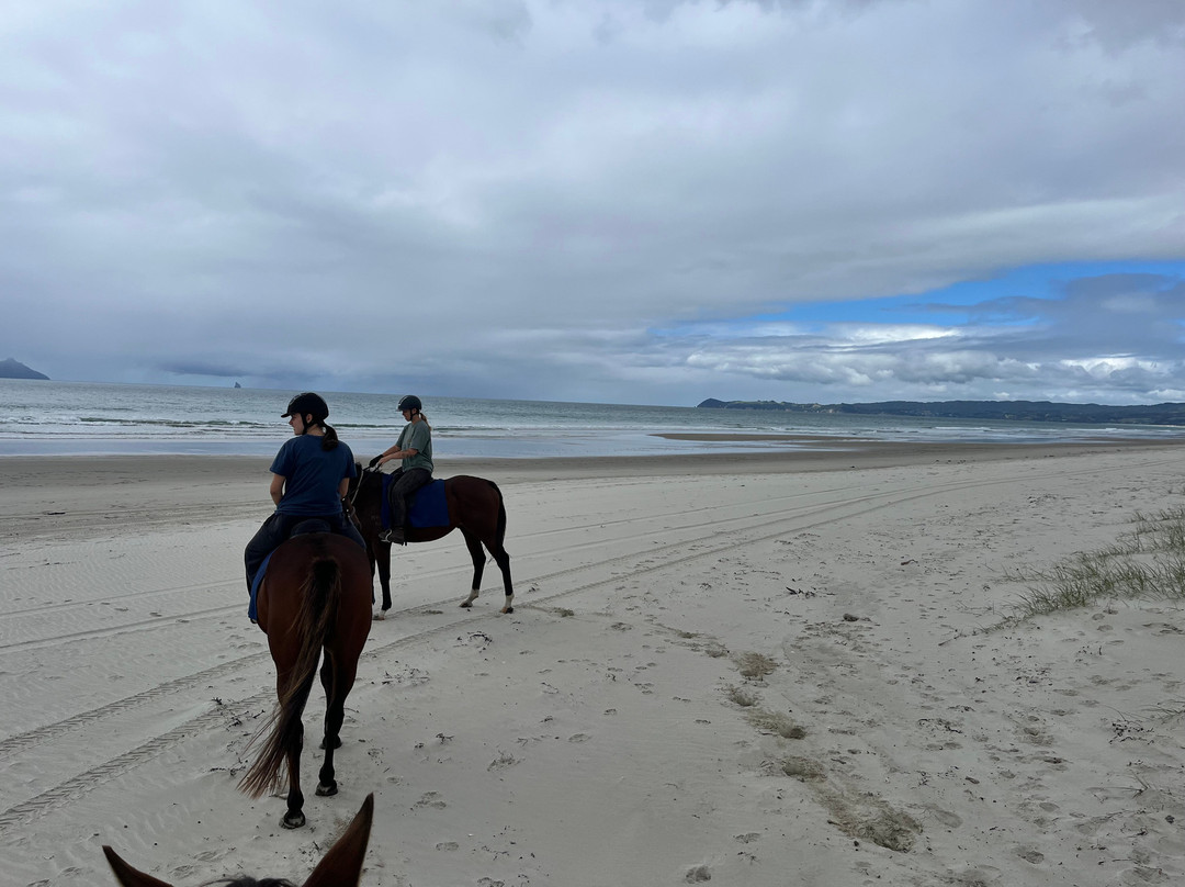 Waipu Horse Adventures-璜加雷必去景点