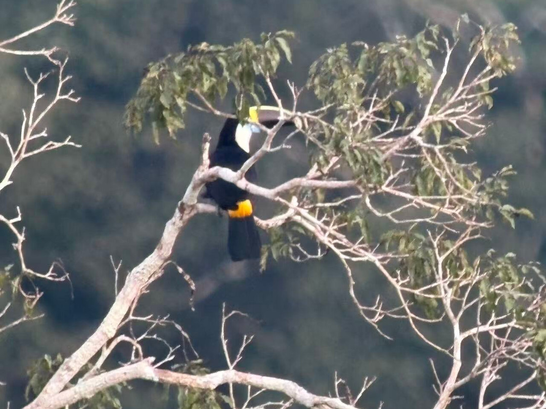 Finca Sachavacayoc lodge主图