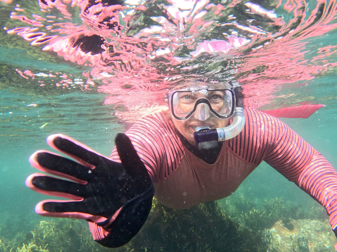 Wild Swim Wales-Broad Haven必去景点