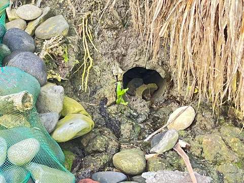 Echo Beach Canggu-长谷必去景点