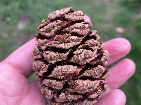 The Walton Hall Spa & Leisure Club-Wellesbourne必去景点