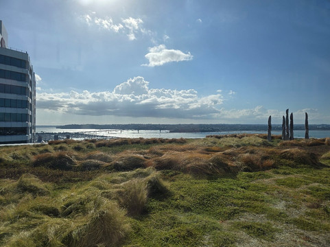 Queens Rooftop And Wineshop主图