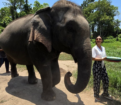 I Love Elephant Samui-Na Mueang必去景点