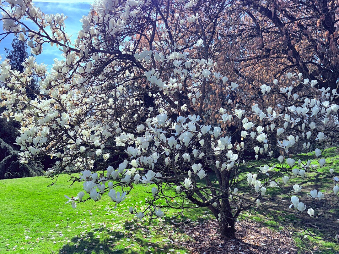 Ascott House and Gardens-莱顿巴扎德必去景点