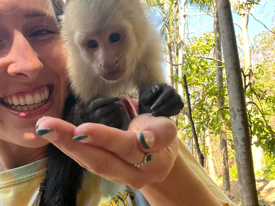 Neofauna Costa Rica-哈科必去景点