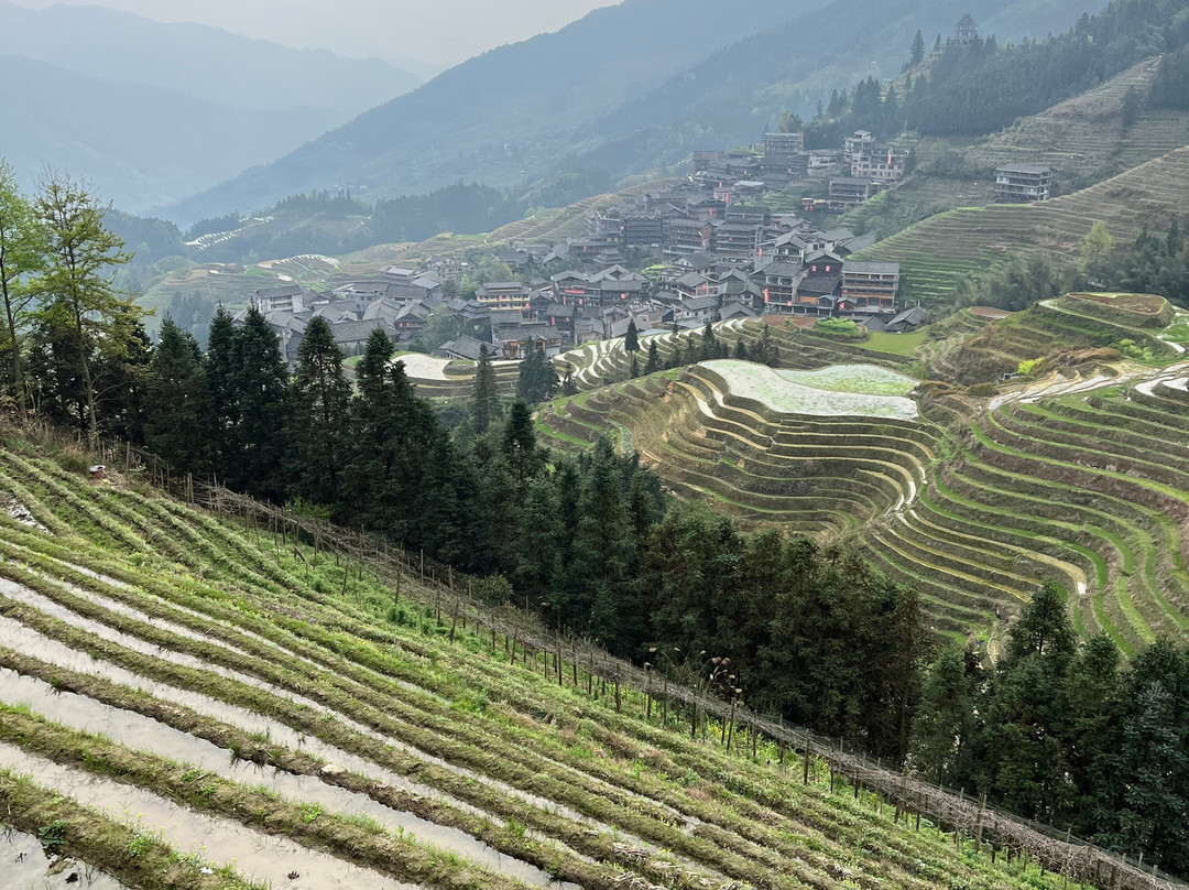 Jerry's Guide & Driver Service-桂林市必去景点