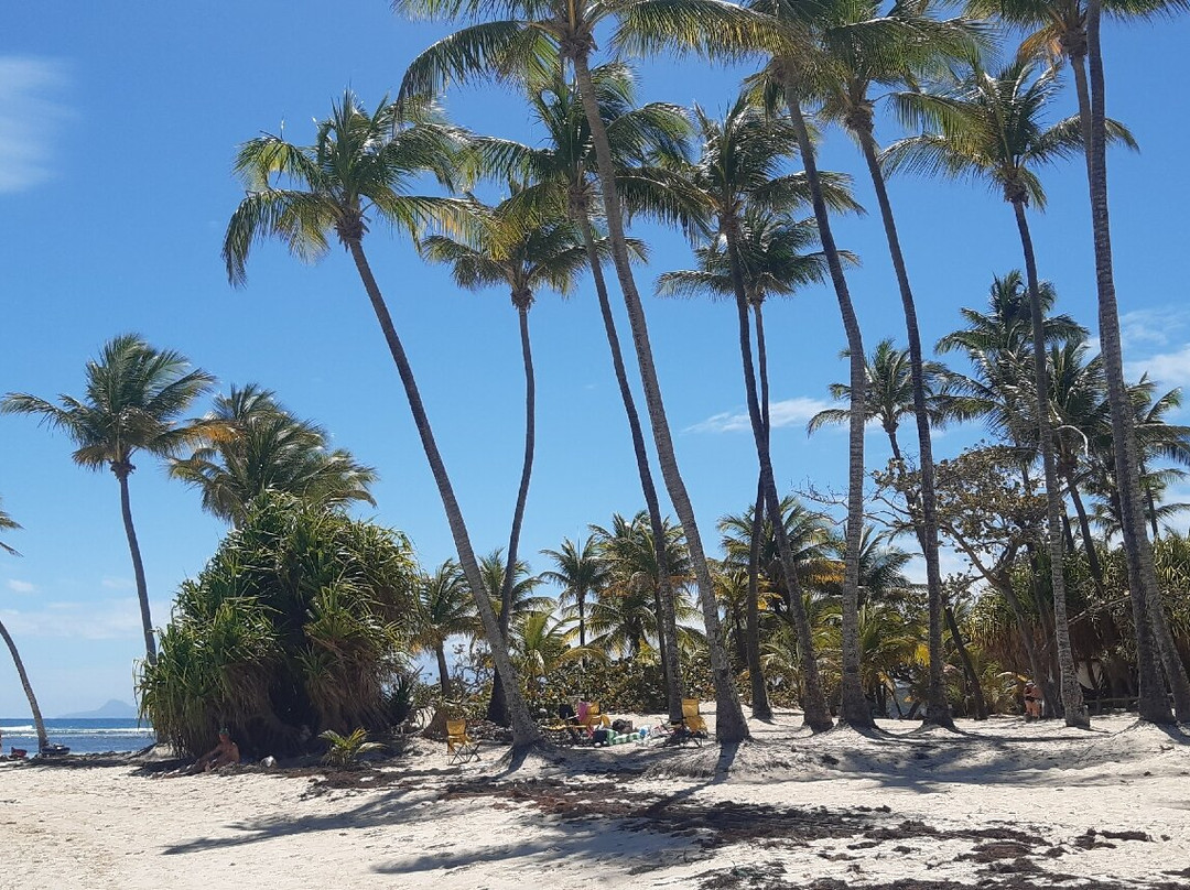 Plage La caravelle-Sainte-Anne必去景点