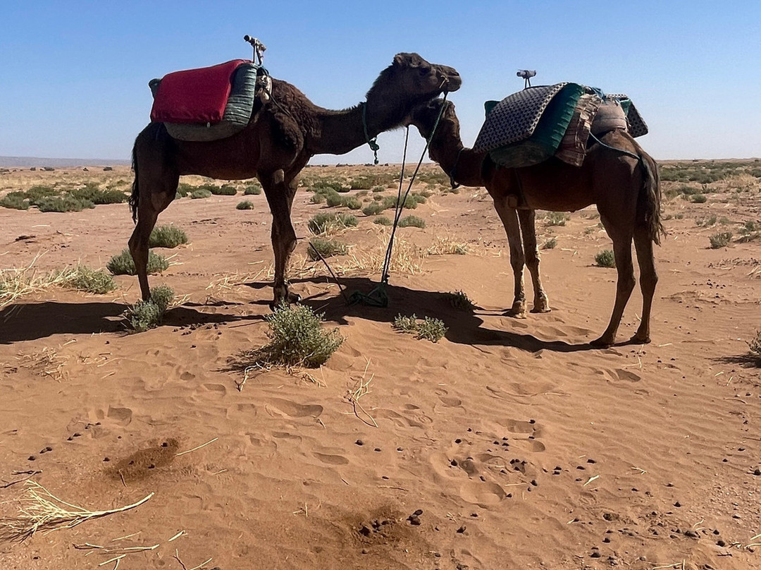 Aziwan Travel-Azilal必去景点