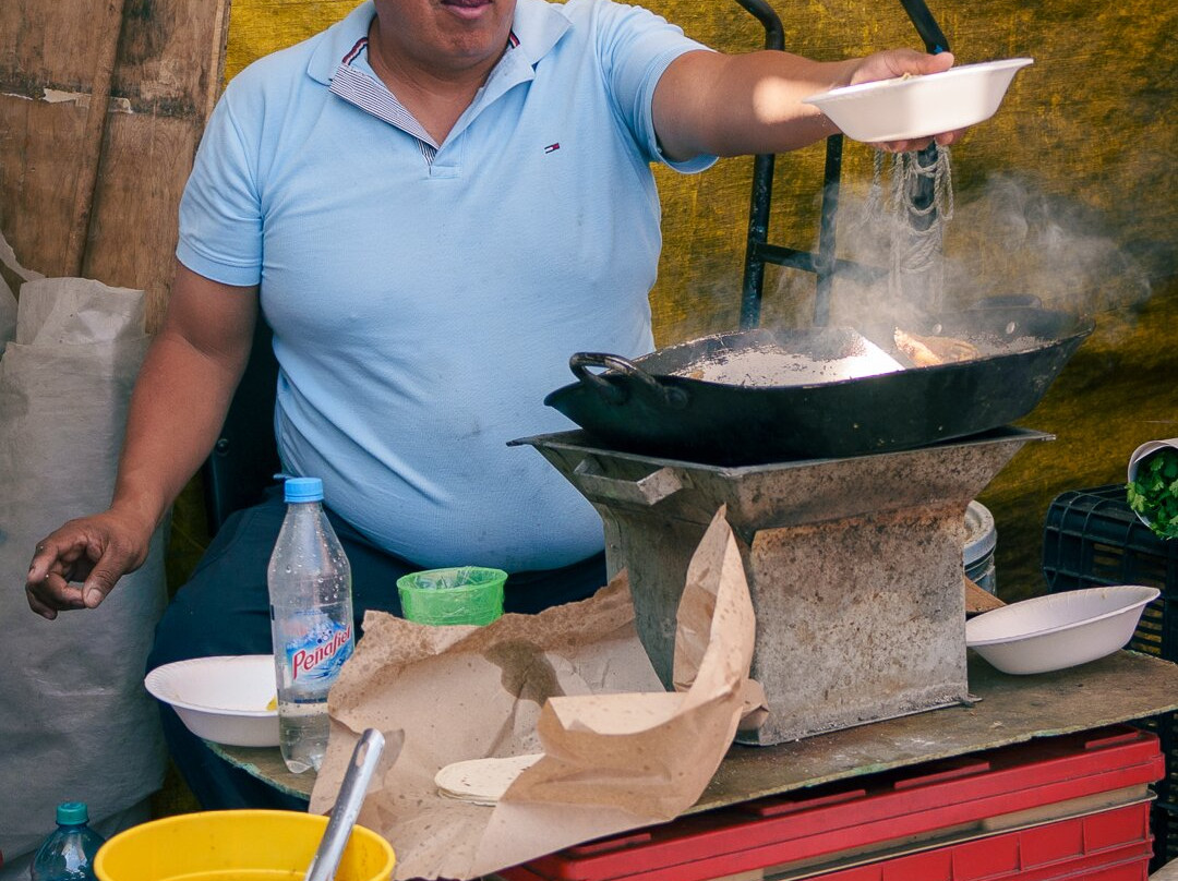 Mexico City Photo Tours-墨西哥城必去景点