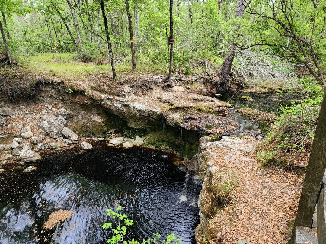 Falling Creek Falls-Lake City必去景点