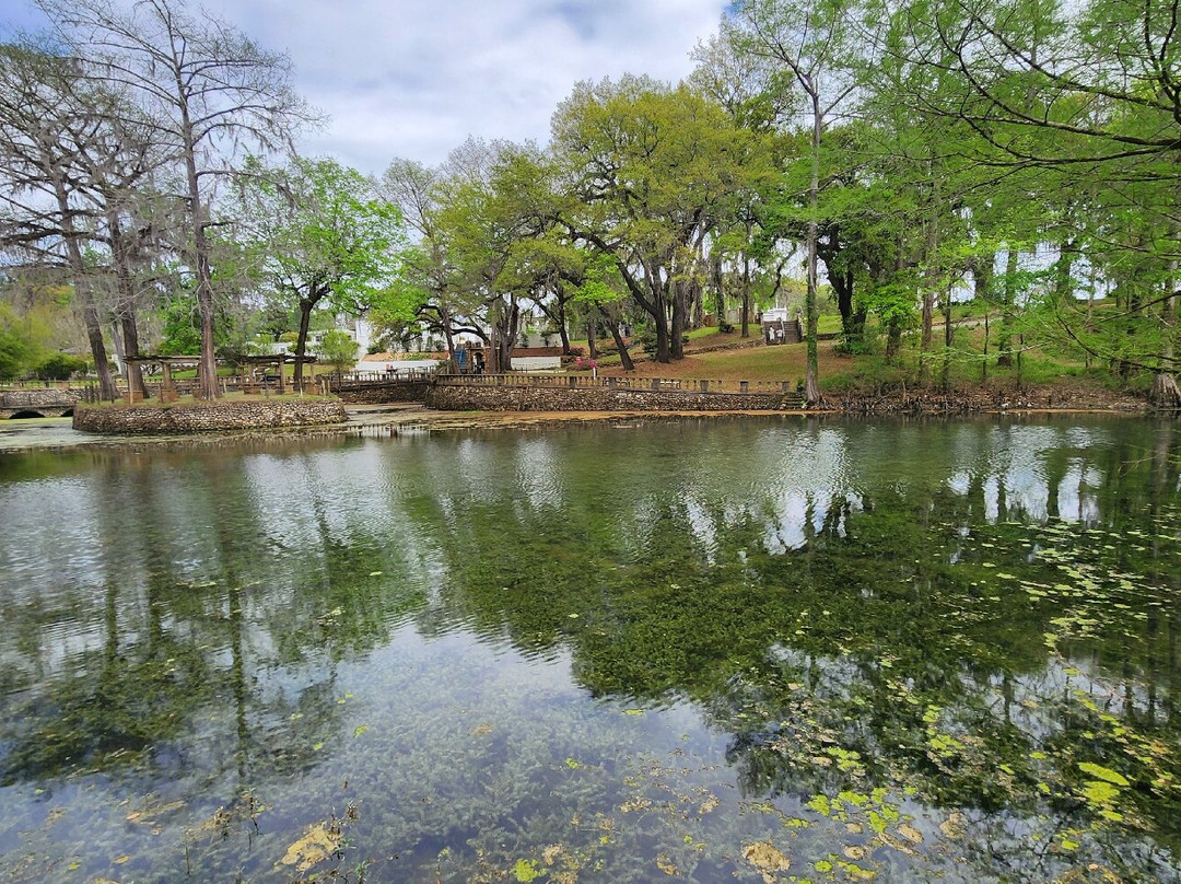 Radium Springs Gardens-奥尔巴尼必去景点
